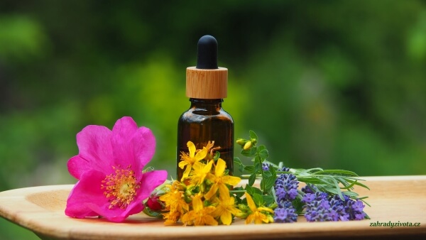 Bachovy esence lahvička