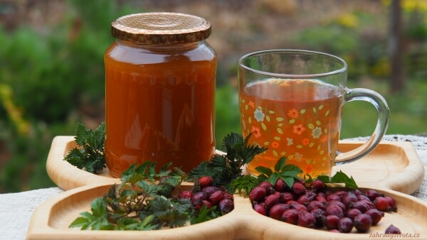 Jak si udržet imunitu