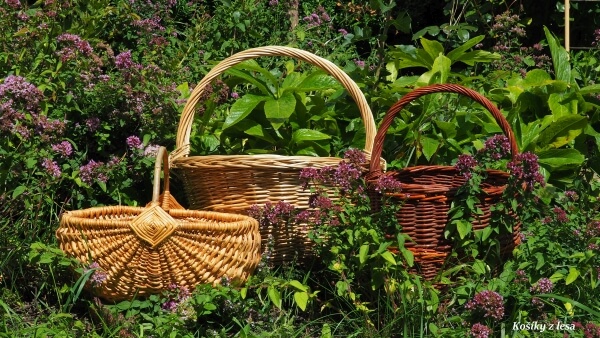 košíkářský kurz