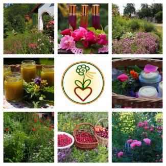 prirodni_kosmetika_a_byliny